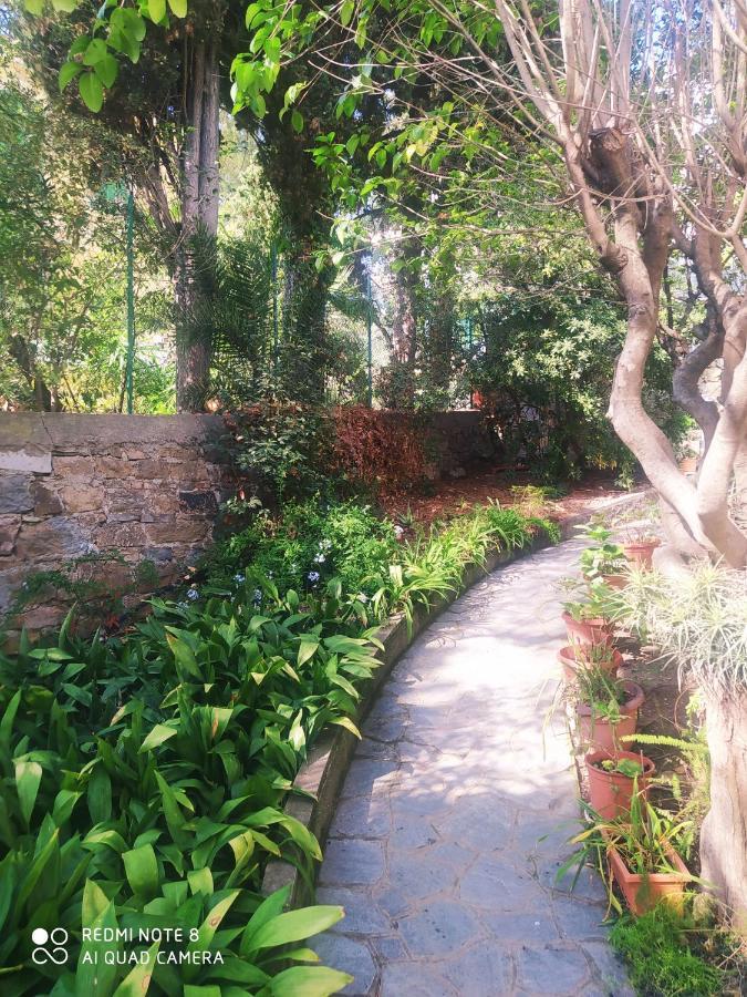 Pergolato Suite Sanremo Exterior photo