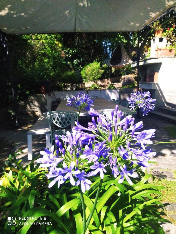 Pergolato Suite Sanremo Exterior photo